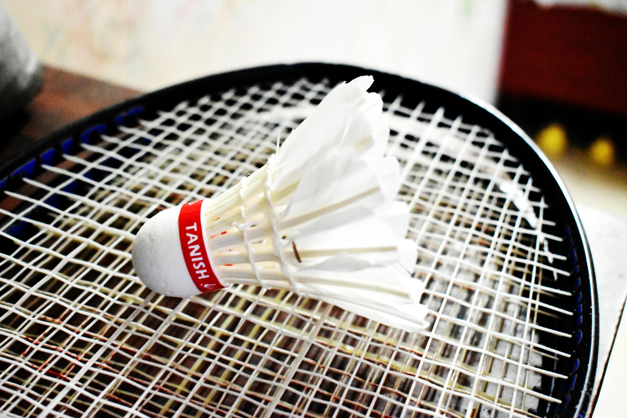 A detailed view of a shuttlecock resting on a badminton racket, ideal for sports enthusiasts.